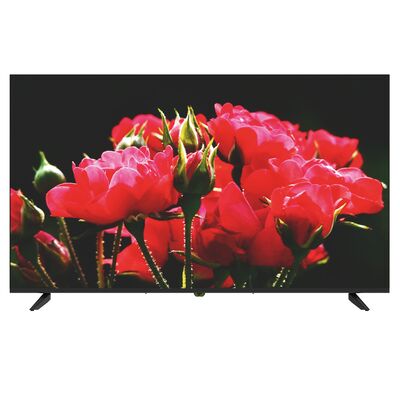 Class V Series  55 Inch 4K OLED TV HDR Smart Google TV With 120HZ Refresh Rate